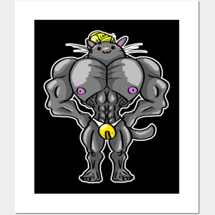 Swole Kitty Posters and Art